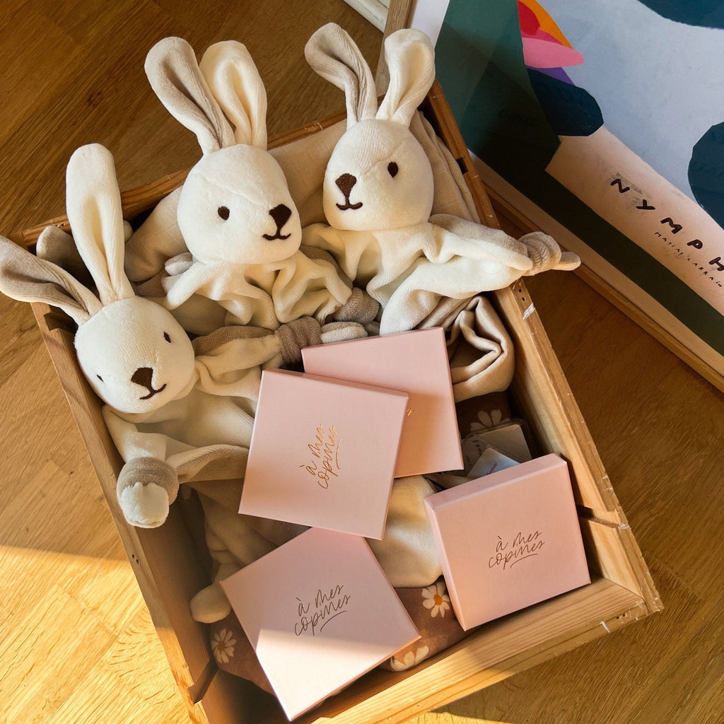 Collection Naissance